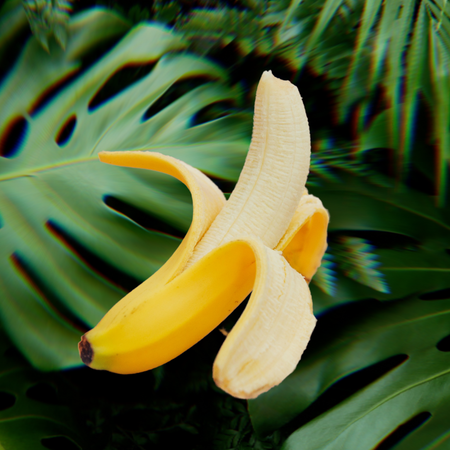 The Lowdown On Vegan Dating And Vegan Sex