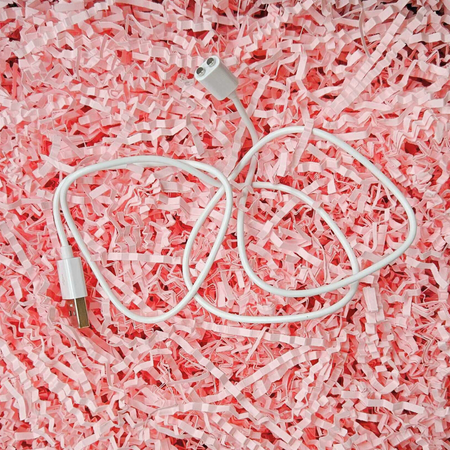 Cindy Charging USB Cable