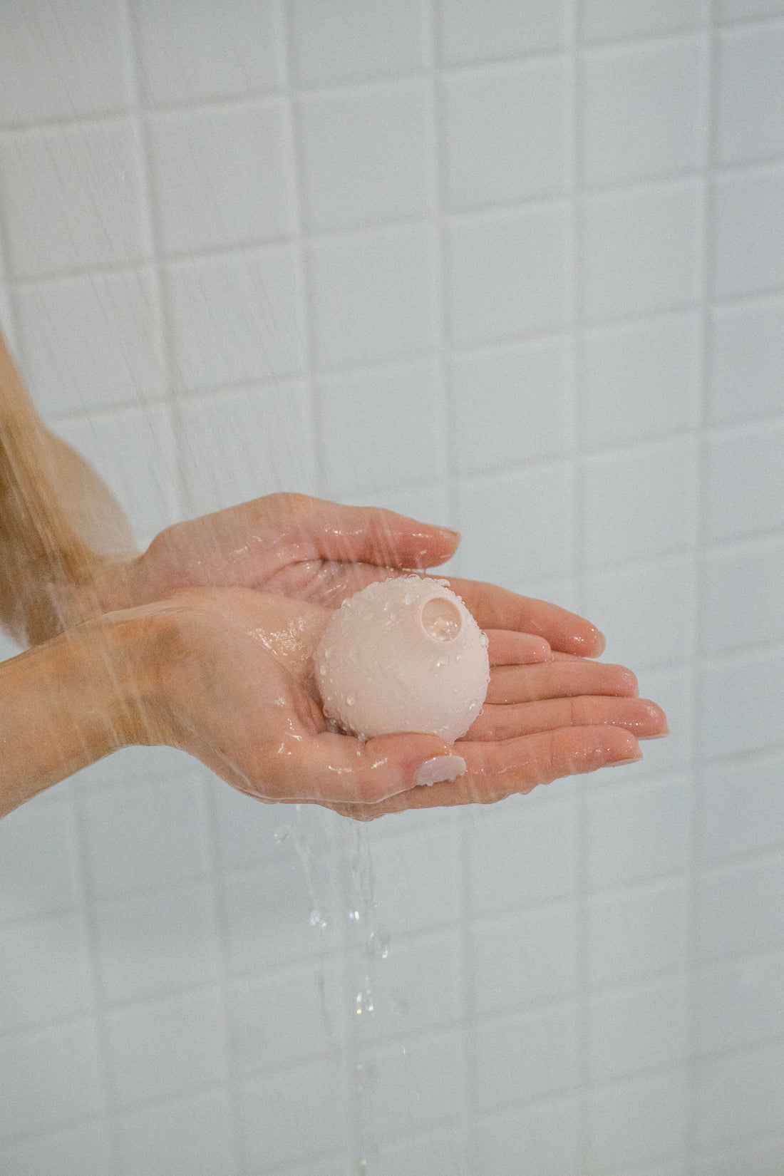 How To Take Care Of Your Cindy