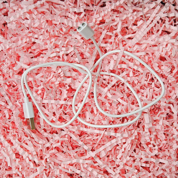 Cindy Charging USB Cable